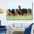 Tablou canvas Animale 6horses