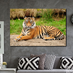 Tablou canvas Animale Eltigre