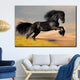 Tablou canvas Animale Blackbeauty