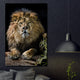 Tablou canvas Animale Old King