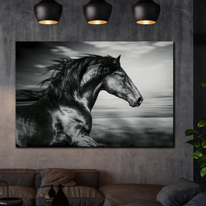 Tablou canvas Animale Horse Black