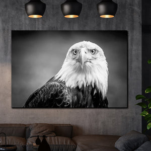 Tablou canvas Animale Eagle