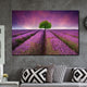 Tablou canvas Lavanda