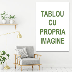 Tablou canvas Personalizat cu orice imagine